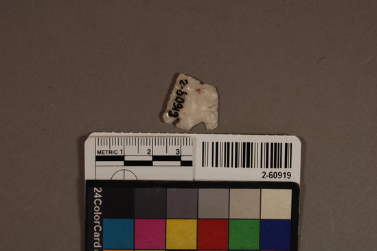 Hearst Museum object titled Lithic, accession number 2-60919, described as No description given on catalog card.