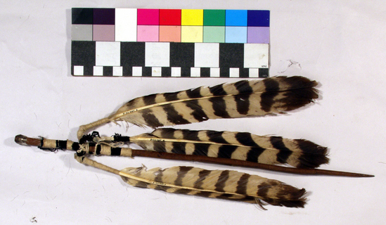 Hearst Museum object titled Prayer stick, accession number 3-22485, described as prayer stick: ceremonial curing arrow. shaft and 3 feathers.