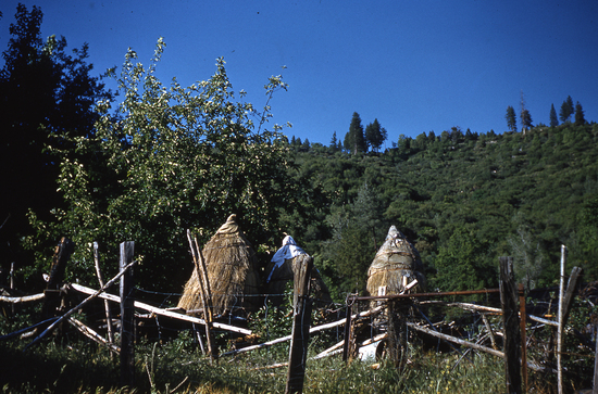 Hearst Museum object titled Color slide, accession number 25-4607, no description available.