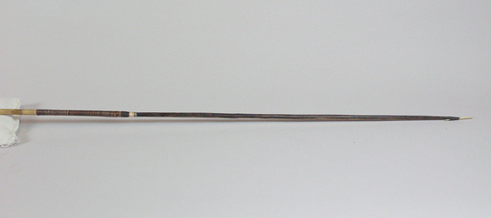 Hearst Museum object 2 of 2 titled Arrow, accession number 16-13716, no description available.