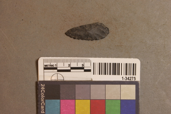 Hearst Museum object titled Projectile point, accession number 1-34275, described as Flint arrowpoint