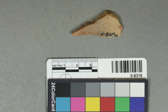 Hearst Museum object 13 of 25 titled Flakes, accession number 5-8319, described as Chert flakes