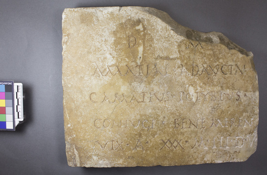 Hearst Museum object 2 of 6 titled Inscription, accession number 8-3420, described as Latin inscription on marble  Translation:  To the Di Manes. Gaius Amatius Polybius [made this] for Amatia Adaucta, his well deserving wife. She lived 30 years, 3 months, and 5 days.  [sculptor ran out of room on the stone at the 5 (V), so it's possible it was originally supposed to be a 6 (VI)] Dating: The EDR dates it between 151 and 250 CE based on the lettering and language used (entry here). The U.S. Epigraphy Project essentially agrees, dating it to the late 2nd or 3rd century CE. A date from this period makes sense - the EDR is right that it is very common in this period to list the age of death this way. General information: Because they have the same nomen (Amatia/Amatius), this couple were either both freedpeople from the same household, or Gaius Amatius Polybius was originally Amatia Adaucta's enslaver, and he freed her on the condition that she marry him. After the object was dug up, someone appears to have examined it using a candle, which dripped white wax in at least two patches roughly centered on the D and M at the top of the text. This certainly postdates the object's rediscovery, because the wax has dripped down the sides of the old break in the top right corner of the stone.  (Description provided by Darcy Tuttle)