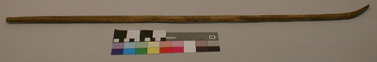 Hearst Museum object titled Shinny stick, accession number 1-11762, described as Shinny stick