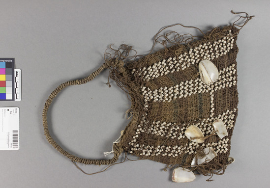 Hearst Museum object titled Bag, accession number 11-973, described as bag of natural fibers knotted into a mesh, string bag. Dark brown with horizontal stripes of green and shades of brown. A linear design formed by small shells with larger shells irregularly interspersed. 18.5 cm long; 26 cm wide, handle 35 cm.