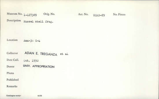 Documentation associated with Hearst Museum object titled Shell fragment, accession number 1-127389, described as Mussel shell fragment.