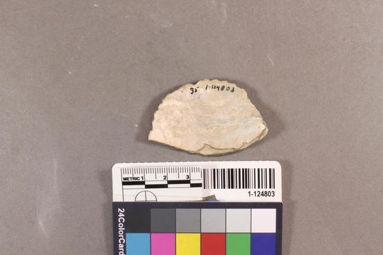 Hearst Museum object titled Shell fragment, accession number 1-124803, described as Chipped.