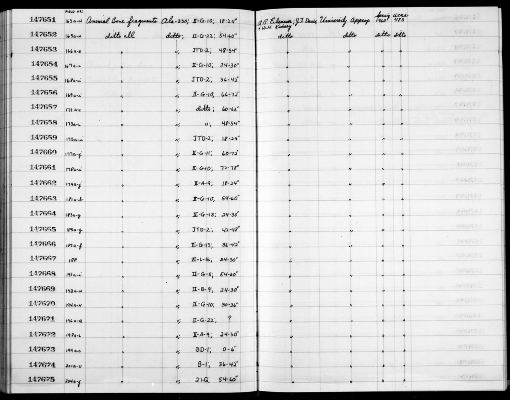 Documentation associated with Hearst Museum object titled Faunal remains, accession number 1-147669, described as Animal.