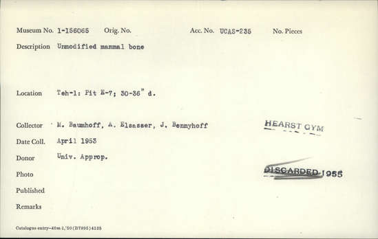 Documentation associated with Hearst Museum object titled Faunal remains, accession number 1-156065, described as Unmodified, mammal.