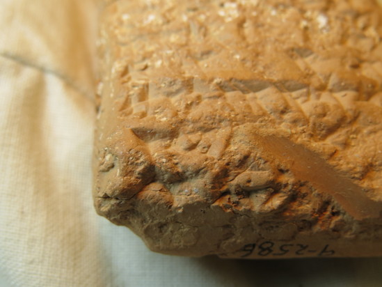 Hearst Museum object 21 of 132 titled Cuneiform tablet, accession number 9-2586, described as Neo-Babylonian Document from Erech