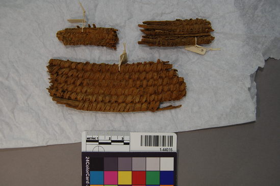 Hearst Museum object titled Tray fragments, accession number 1-44016, described as Coiled basketry