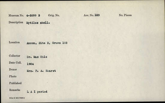 Documentation associated with Hearst Museum object titled Sample: shell, accession number 4-5599b, no description available.