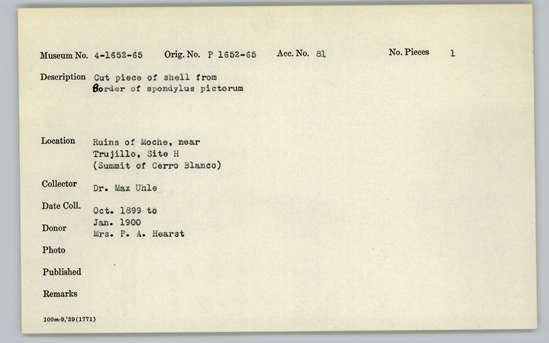 Documentation associated with Hearst Museum object titled Cut shell piece, accession number 4-1654, described as Cut piece of shell from border of Spondylus pictorum.