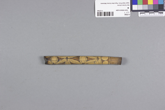 Hearst Museum object 1 of 2 titled Cane tobacco pipe, accession number 11-37543, described as Tobacco pipe, cane, with incised designs filled with black pigment, 16.5 cm long. Used for smoking.