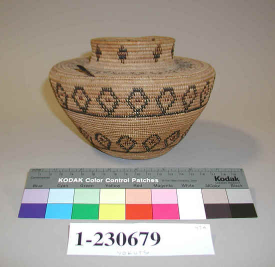 Hearst Museum object titled Basket, accession number 1-230679, described as Coiled, necked, jar-shaped. On body are 2 encircling bands of black-outlined diamond figures with ground color and red in centers. Red sawtooth design on shoulder. Traces of feathers on shoulder; red and black crude diamonds on neck. Made of redbud and bracken fern.