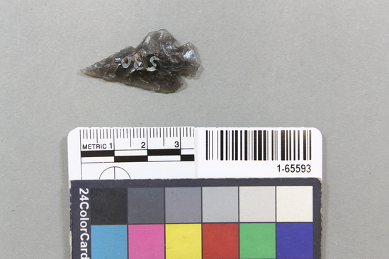 Hearst Museum object titled Point, accession number 1-65593, described as Type SCb-1: obsidian