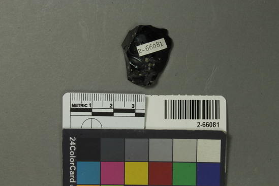 Hearst Museum object titled Flake, accession number 2-66081, described as Obsidian sample