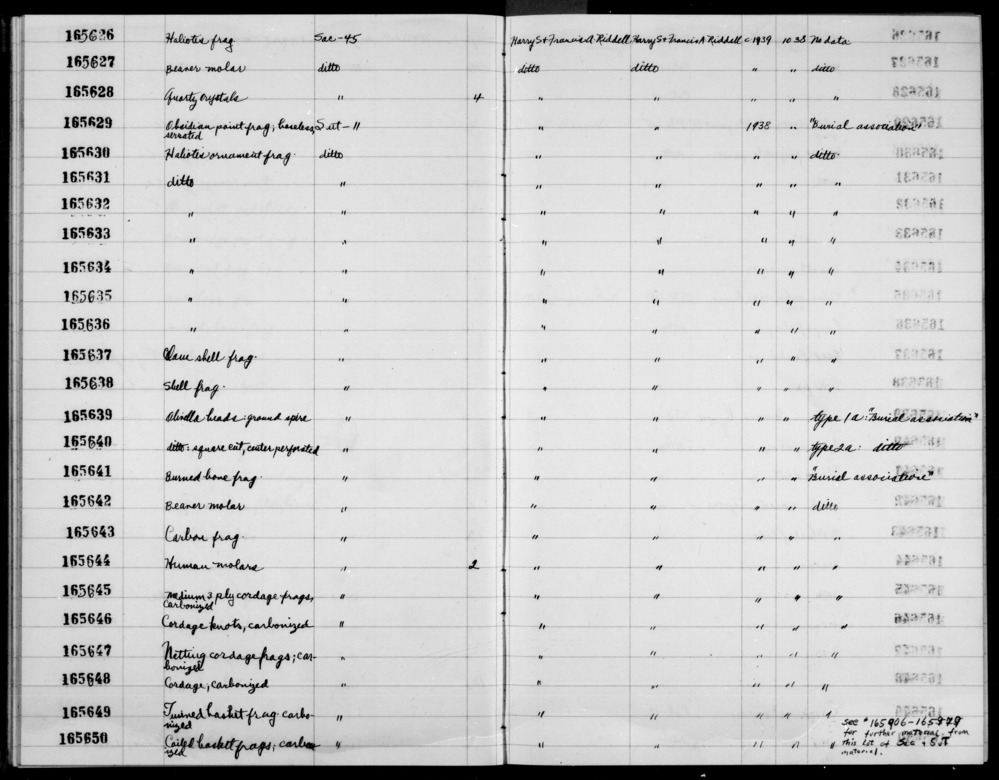 Documentation associated with Hearst Museum object titled Shell fragment, accession number 1-165638, described as Shell fragment.