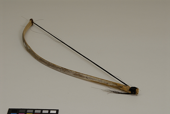 Hearst Museum object 1 of 2 titled Musical bow, accession number 9-10952, described as bow for child's stringed musical instrument; bamboo horsehair; 43 cm length;