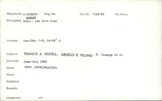 Documentation associated with Hearst Museum object titled Faunal remains, accession number 1-106534, described as Mammal and bird.
