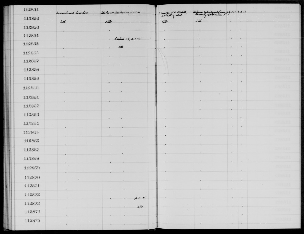 Documentation associated with Hearst Museum object titled Faunal remains, accession number 1-112865, described as Mammal and bird.