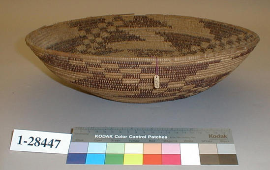 Hearst Museum object titled Cooking basket, accession number 1-28447, described as Coiled basket bowl, brown design.  Tag: "Yuki", second tag "Yuki 40-B". Per Ralph Shanks:  Low broad flairing coiled bowl, in the shape of parching or cooking basket.  It has some food residue.   The coil foundation is three rods.  The weft material is redbud, peeled and unpeeled.  The design includes three bands of two sets of diagonally stacked rectangles with three large triangles. There are no random rectangles.  The rim is plain wrapped; with the rim coil ending blunt.    The weft fag ends are concealed; the weft moving ends are bound under.  Many of the wefts are split on the interior, less than 20% are split on the exterior.  The wefts are non-interlocking.  The basket has an exterior workface.  It has a leftward work direction and a up to the right slant of weft twist.  The features of the basket are slightly different than many Yuki baskets but are close enough to still make this a Yuki basket.  The non-typical Yuki features include the leftward work direction and the lack of random rectangles.