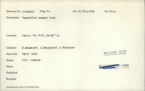 Documentation associated with Hearst Museum object titled Faunal remains, accession number 1-156019, described as Unmodified, mammal.