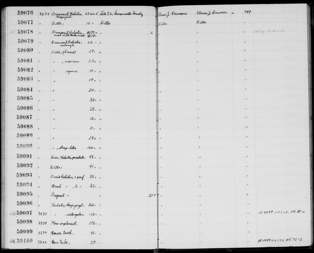 Documentation associated with Hearst Museum object titled Tooth, accession number 1-59099, described as Beaver