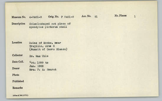 Documentation associated with Hearst Museum object titled Worked shell, accession number 4-2407, described as Chisel-shaped cut piece of Spondylus pictorum shell.