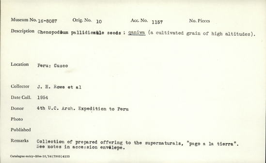 Documentation associated with Hearst Museum object titled Organic material, accession number 16-8087, described as Conopoduim pallidicaule seeds