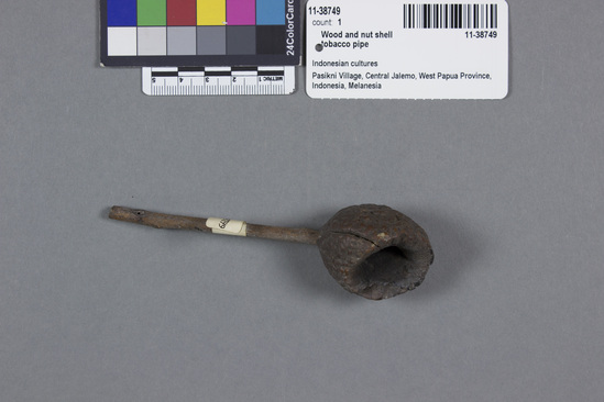 Hearst Museum object titled Wood and nut shell tobacco pipe, accession number 11-38749, described as Tobacco smoking pipe; bowl of nut shell; wood stem; 1.12 cm