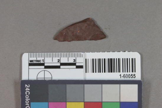 Hearst Museum object 1 of 2 titled Projectile point fragment, accession number 1-60055, described as Arrowpoint fragment