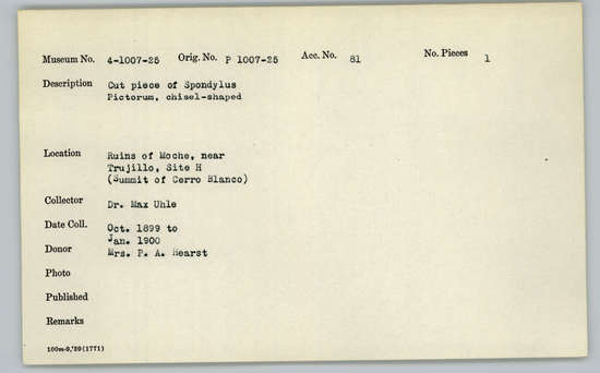 Documentation associated with Hearst Museum object titled Worked shell, accession number 4-1009, described as Cut piece of Spondylus pictorum, chisel-shaped.