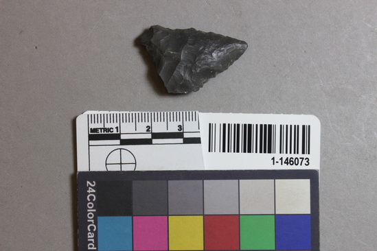 Hearst Museum object titled Projectile point fragment, accession number 1-146073, described as Obsidian.