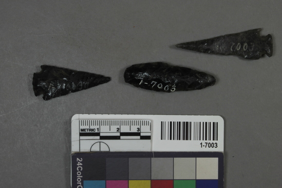 Hearst Museum object titled Points, accession number 1-7003, described as obsidian arrow points