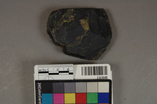 Hearst Museum object titled Pebble, accession number 2-61648, described as Pebble core, possible hammerstone.