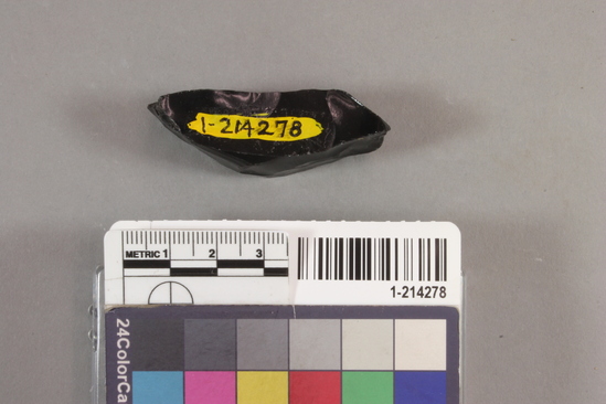 Hearst Museum object 2 of 3 titled Blade fragment, accession number 1-214278, described as obsidian blade fragment; mid-section only; 21 mm x 52 mm