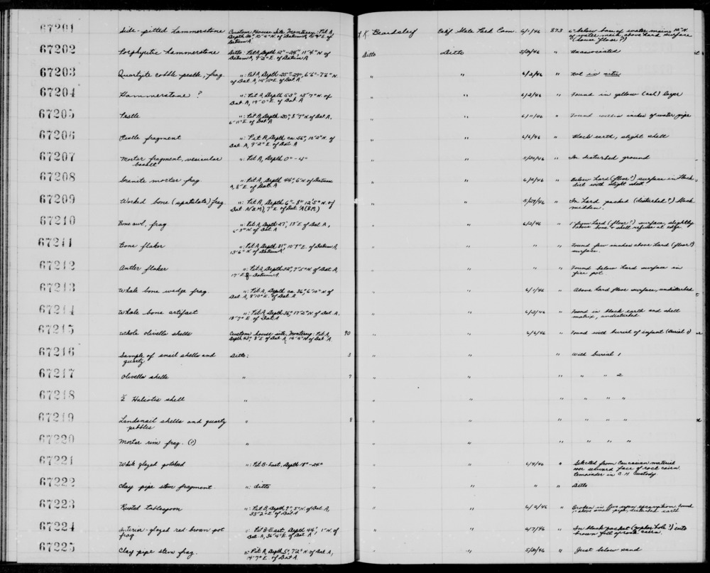 Documentation associated with Hearst Museum object titled Shell fragment, accession number 1-67218, described as 1/2 Haliotis shell.