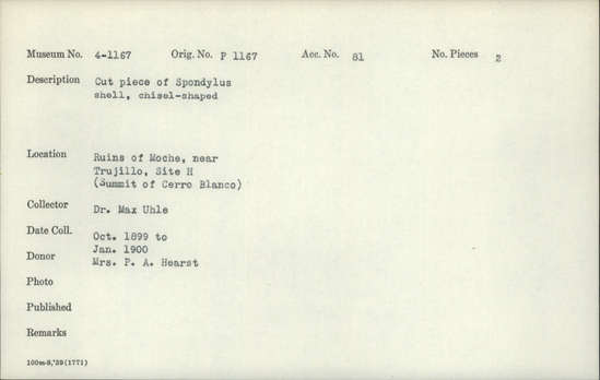 Documentation associated with Hearst Museum object titled Worked shell, accession number 4-1167, described as Cut piece of Spondylus pictorum, chisel-shaped.
