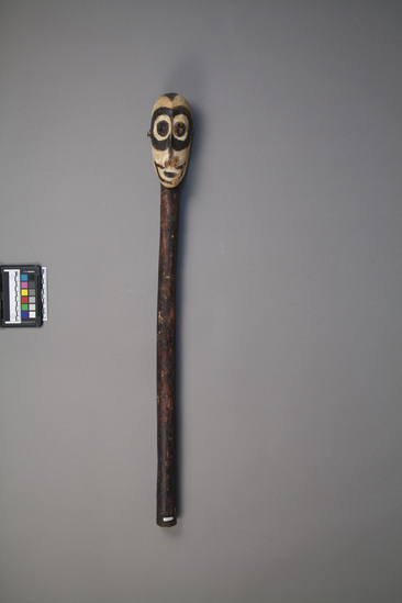 Hearst Museum object 1 of 2 titled Stick, carved wood head, accession number 11-42728, described as Stick, wood, carved head on top, jequirity seed eyes, black and white painted face, knotted fiber through nose, ear. 84.0 cm. Called "Gordon Stick" by donor, collector.