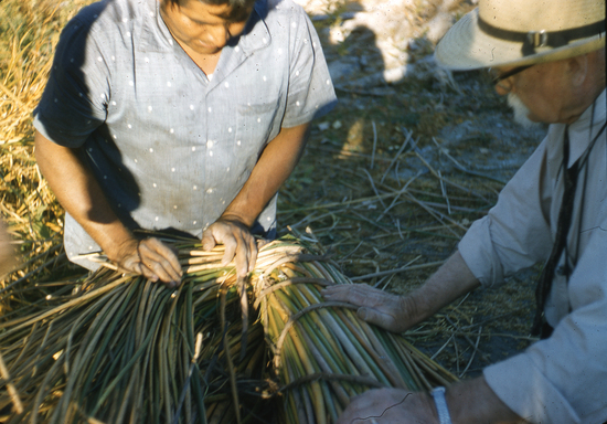 Hearst Museum object titled Color slide, accession number 25-4598, no description available.