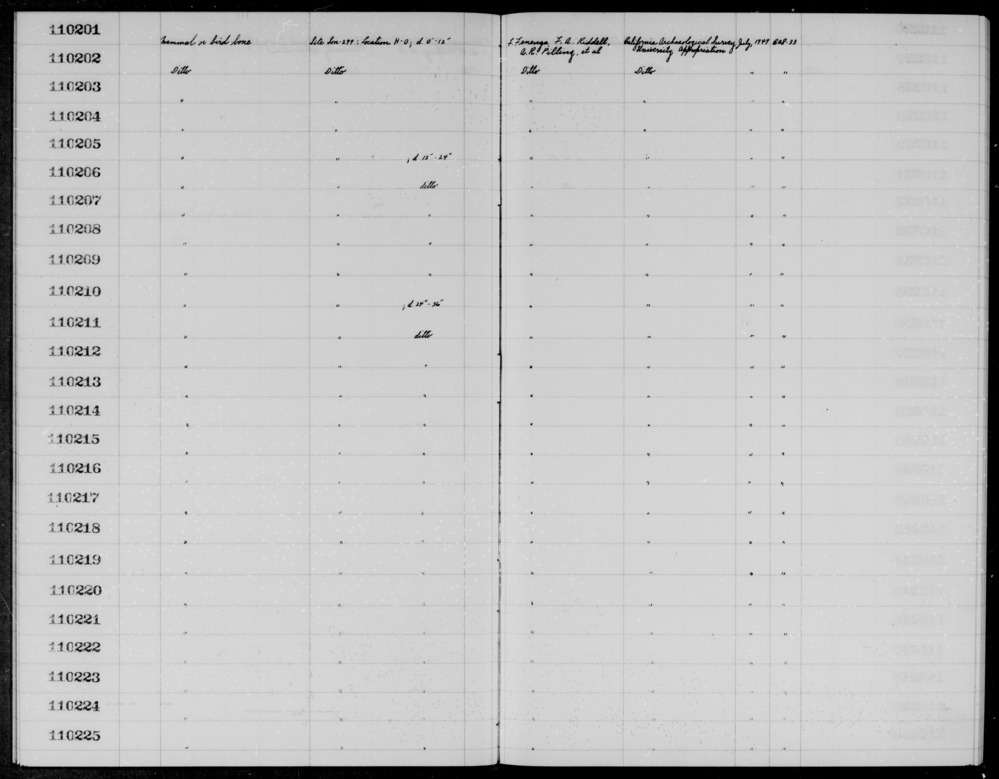 Documentation associated with Hearst Museum object titled Faunal remains, accession number 1-110209, described as Mammal or bird.