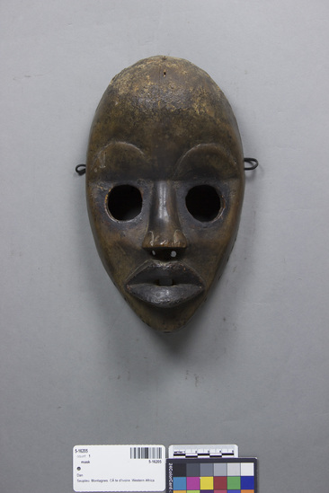 Hearst Museum object titled Mask, accession number 5-16205, described as carved wood, some paint or dent around eyes, lips. protruding forehead. perforations around edge for attachment of drapes. hollow backside. Conservation: Chips on upper edge left side. Unknown substance adhering to top of head.