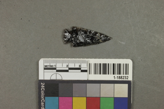 Hearst Museum object titled Projectile point, accession number 1-188232, described as Obsidian