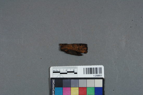 Hearst Museum object titled Leather fragment, accession number 1-258853, described as No description given on catalog card