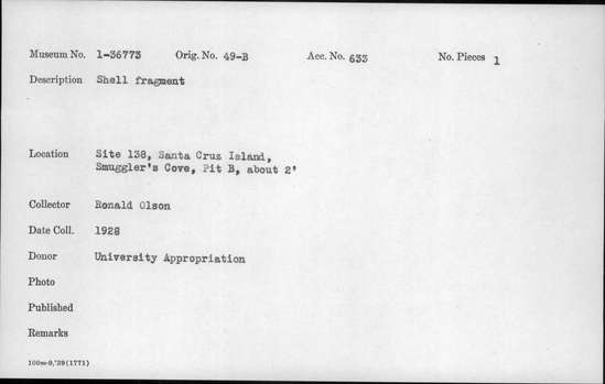 Documentation associated with Hearst Museum object titled Shell fragment, accession number 1-36773, described as Shell fragment