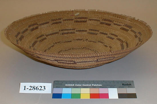 Hearst Museum object titled Basket, accession number 1-28623, described as Twined basketry tray. Round with flaring sides, rectangular design in dark brown and starw color on natural ground.