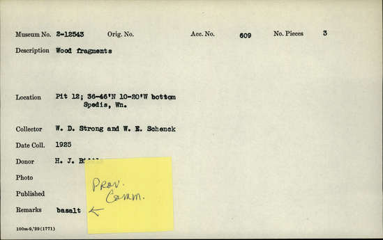 Documentation associated with Hearst Museum object titled Wood fragments, accession number 2-12543, described as Wood fragments