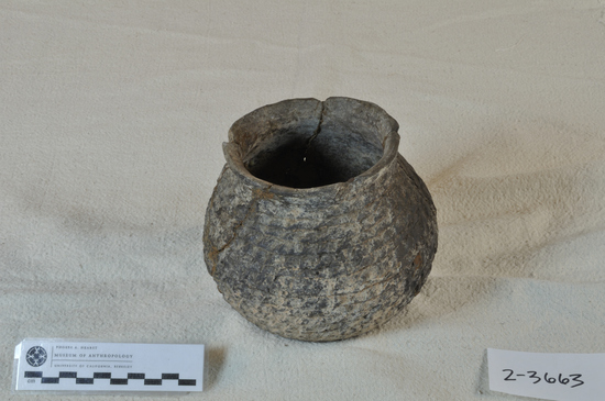 Hearst Museum object titled Pot, accession number 2-3663, described as Coiled ware blue cornmush pot.