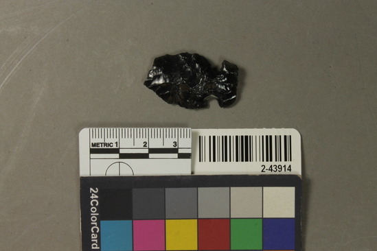 Hearst Museum object titled Projectile point, accession number 2-43914, described as No description given on catalog card.